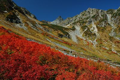 槍沢　紅葉-1