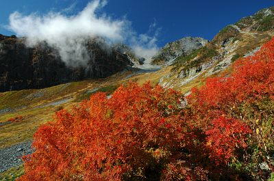 槍沢　紅葉-5