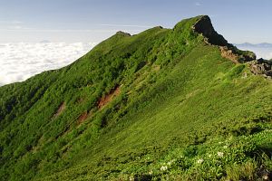 茅野市・南牧村　横岳への途中　右手前が横岳、左手はるかに富士山7/31