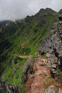 茅野市　横岳山頂の先　登山道7/30